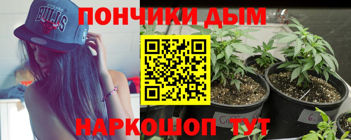 Бошки Шишки индика Дербент