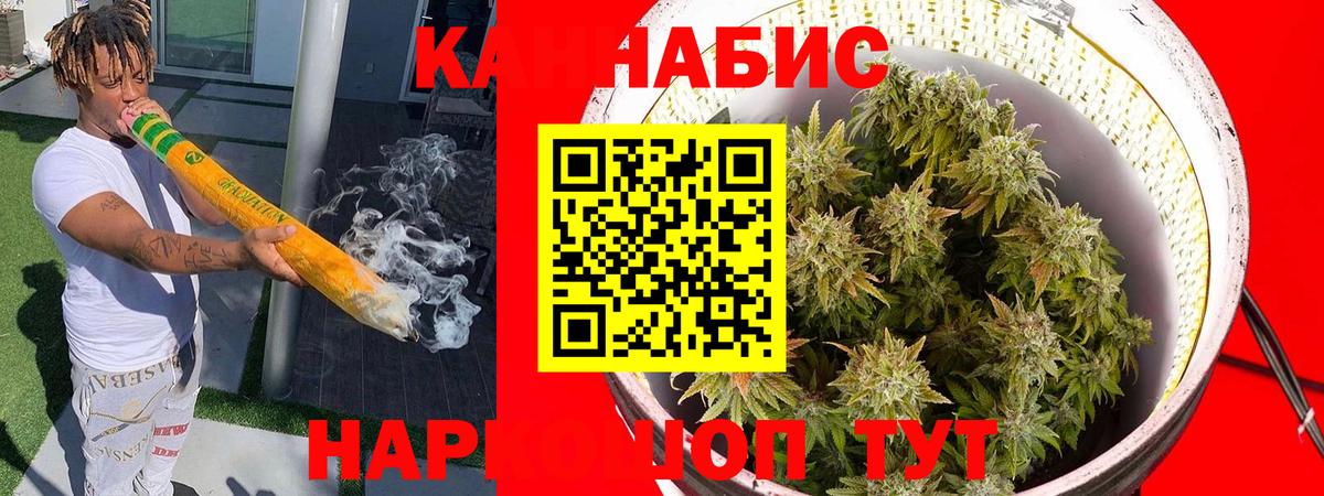 Канабис сатива  Вход с VPN  Бошки марихуана Amnesia  Дербент 